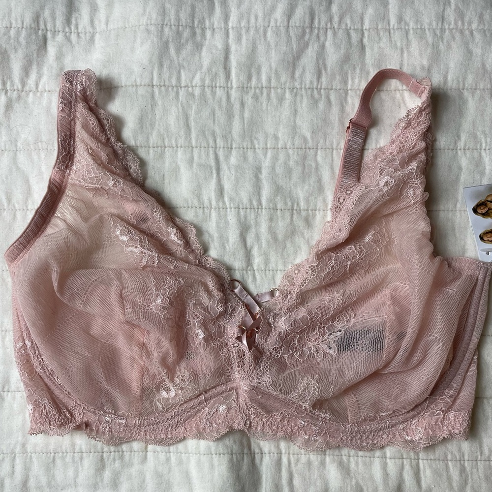 Smart & Sexy Sheer Lace Bra  in Blush Pink 38DD